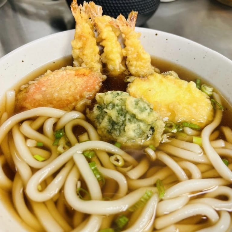 Delicious Udon Noodle Dishes